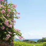Neapoli